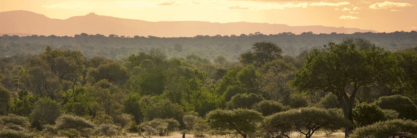 What To Wear On Safari