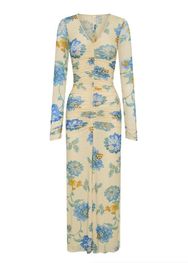 Giselle Mesh Maxi Dress | FINAL SALE