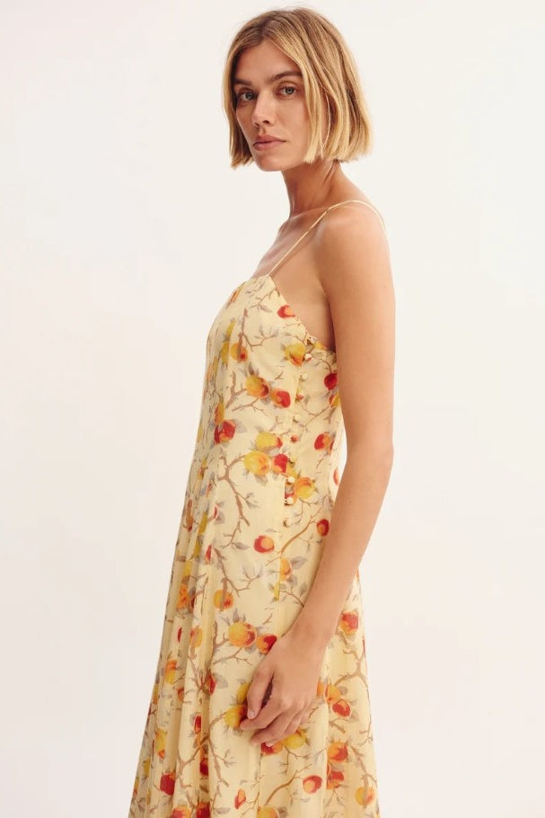 PALOMA MAXI DRESS - CITRUS FLORAL - FINAL SALE