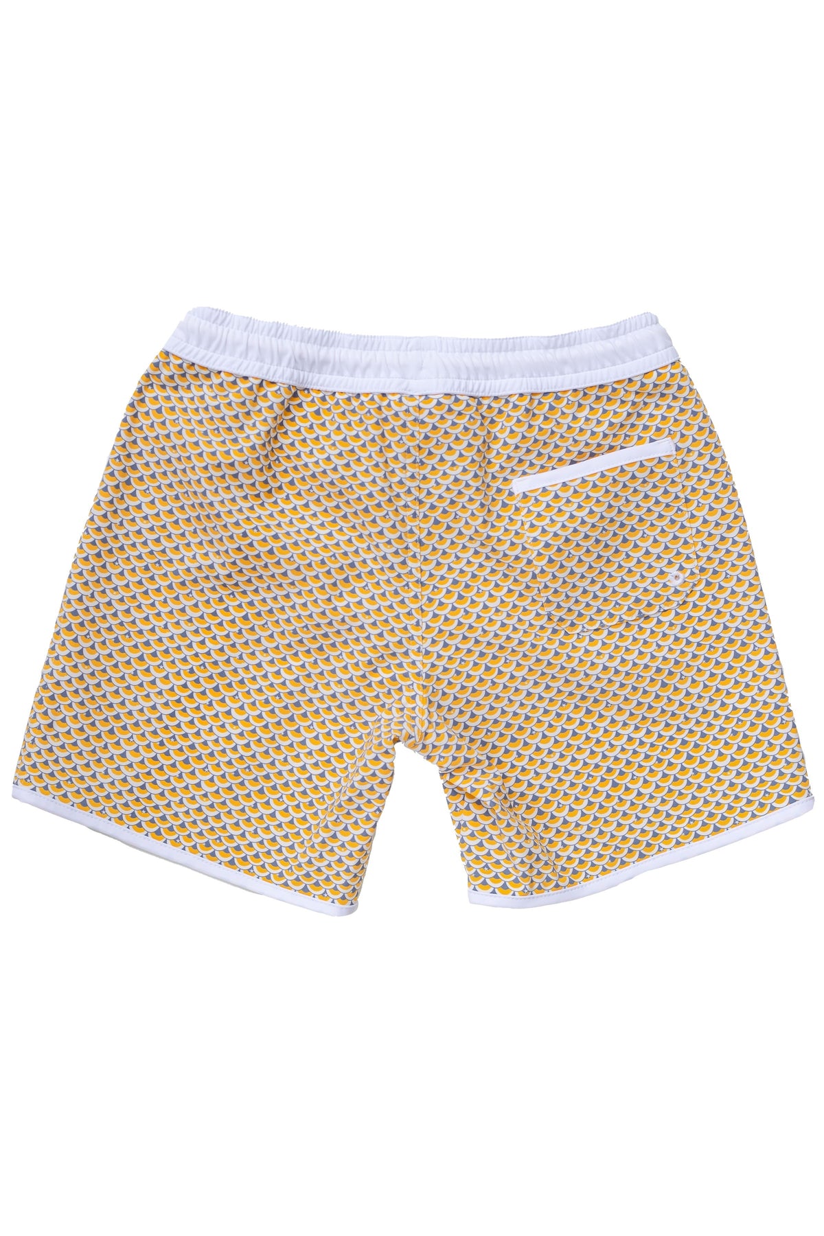MENS Swim Shorts TOMMASO - Scale Print